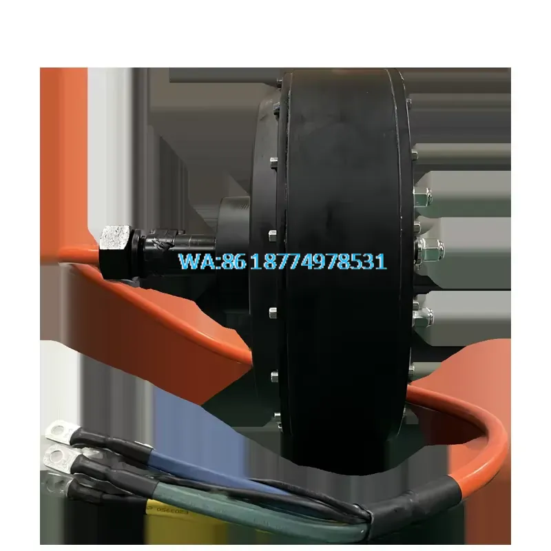 Wmwmnu for QS 273 8000W 72V 50 - Qs Motor 273 8000W Hub Motor ulasan dan harga